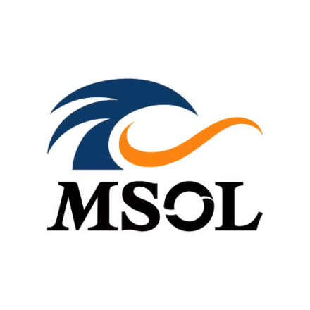 マネジメントソリューションズ