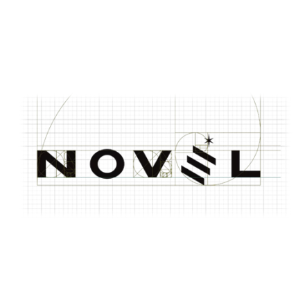 NOVEL
